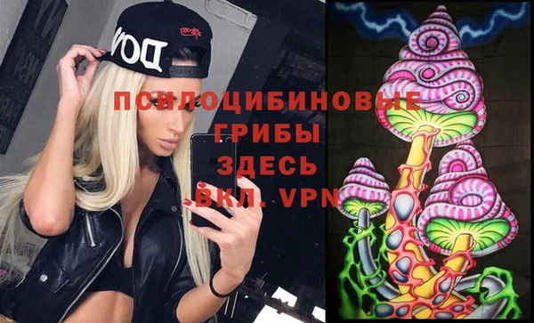 шишки Абдулино
