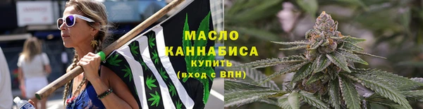крисы Абаза