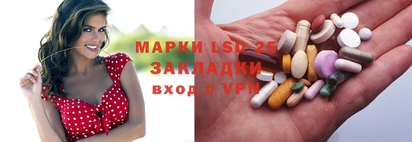 крисы Абаза