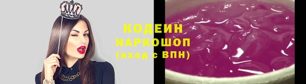 крисы Абаза