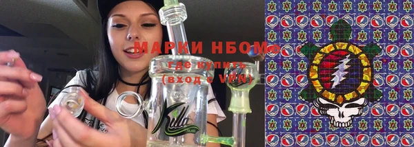 крисы Абаза