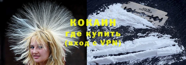 крисы Абаза