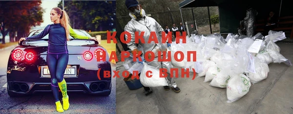 крисы Абаза