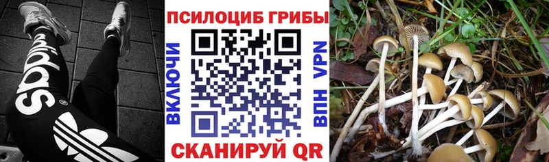 дарнет шоп  Новая Усмань  Галлюциногенные грибы MAGIC MUSHROOMS 